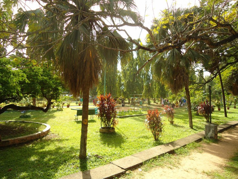 Subhash Bose Park, Ernakulam, Kerala - Vushii.com Subhash Bose Park, Ernakulam, Kerala - Vushii.com